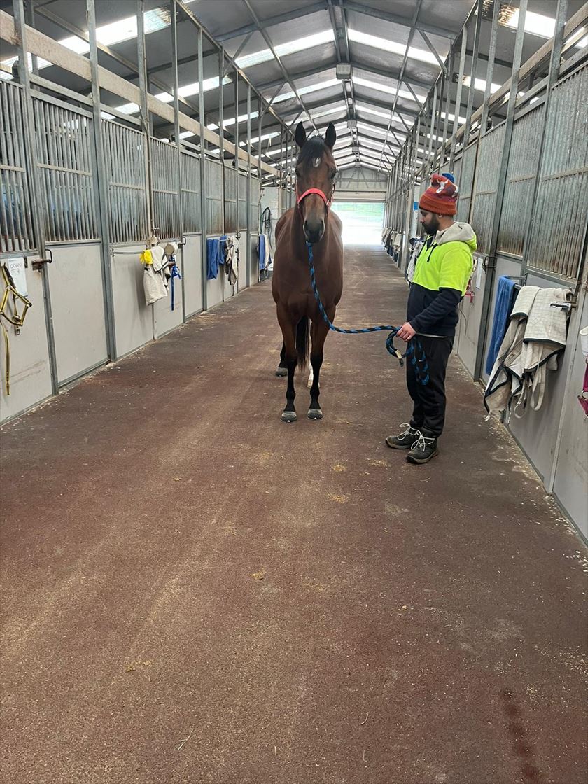 2024 MAY (Late) Online Sale Inglis Digital Online Auctions